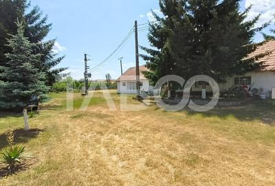 Spațiu industrial, de 8,000 mp, în Săliștea - 2