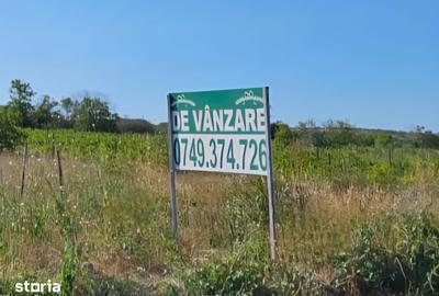 Teren de 598 mp, în Central - 3