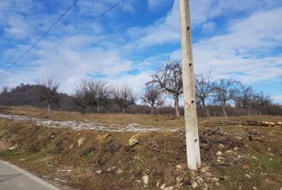 Spațiu comercial, în Stâlpeni - 2