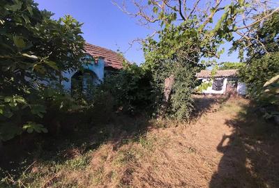 Casă cu Teren 1050 Mp în Pecineaga - 5