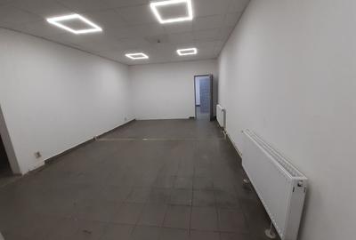 Spațiu industrial, de 550 mp, în Theodor Pallady - 13