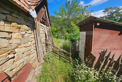 Casă cu Teren 1343 Mp în Căpâlna - 1