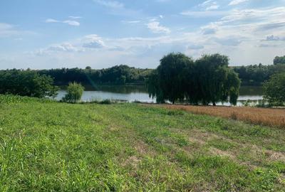 Teren Construcții intravilan de 3487 mp, în Petrăchioaia - 8