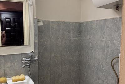 Garsonieră în Sârbi - 3