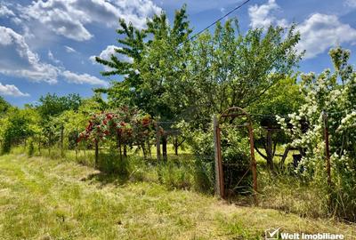 Teren agricol intravilan de 1051 mp, în Borhanci - 7
