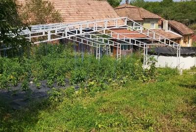 Casă cu 3 camere cu Teren 1683 Mp în Băgara - 6