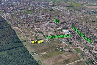 Casă individuală cu 7 camere cu Canalizare în Dumbrăvița - 24