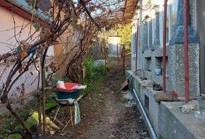 Casă cu 3 camere cu Teren 58 Mp în Berislăvești