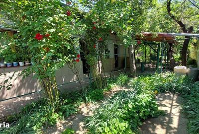 Casă cu 4 camere semidecomandat în Sintești - 9