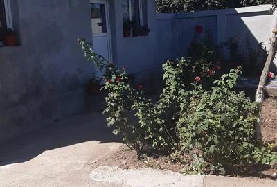 Casă cu 5 camere cu Teren 1000 Mp în Nana