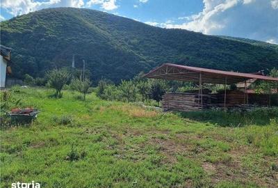 Teren de 3500 mp, în Mehadia - 1