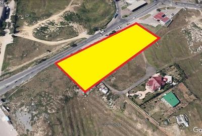 Teren Construcții intravilan de 7799 mp, în Peco - 2