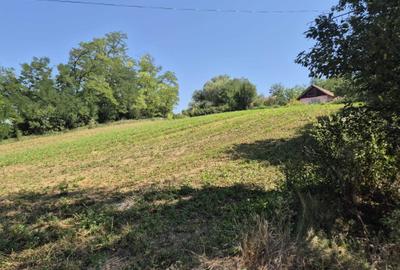 Casă cu 3 camere în Răzoare - 3