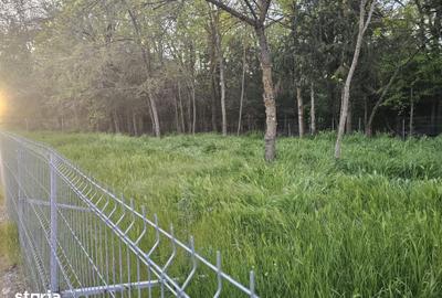 Teren de 500 mp, în Central
