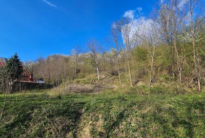 Teren Construcții intravilan de 1800 mp, în Brebu Megieșesc - 15