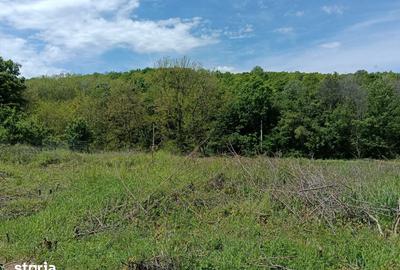 Teren de 1807 mp, în Cocorăștii Mislii - 2