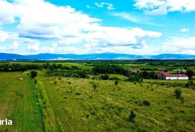 Teren de 854 mp, în Hărman - 4