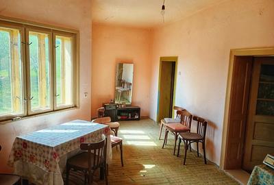 Casă cu Teren 11300 Mp în Dumbrăvița - 3