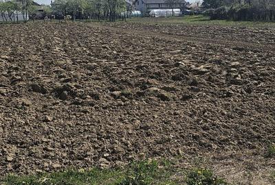 Teren de 1400 mp, în Roșu - 4