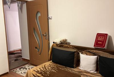 Apartament cu 2 camere decomandat în Central - 4