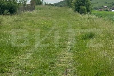 Teren de 2900 mp, în Central
