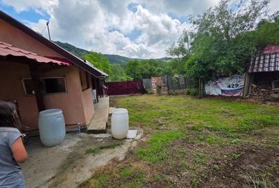 Casă cu 2 camere în Șalcău - 4