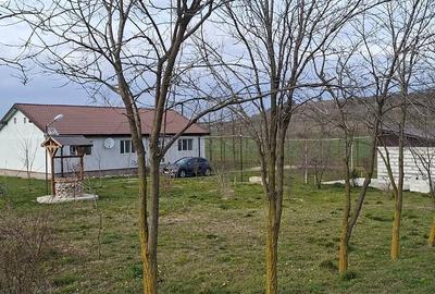 Teren de 90000 mp, în Central