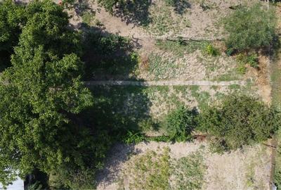 Teren de 689 mp, în Mândruloc - 5