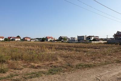 Teren Construcții intravilan de 534 mp, în Techirghiol - 3