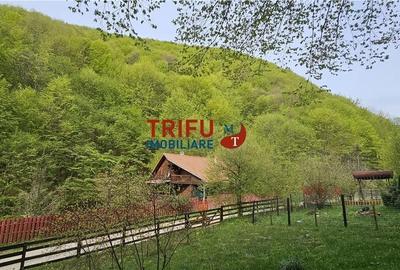 Casă cu 4 camere cu Teren 891 Mp în Ighiu - 5