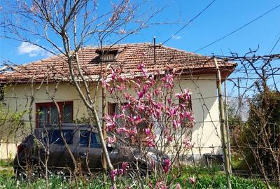 Teren de 46 mp, în Brănești - 8