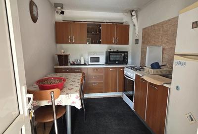 Casă cu Teren 1600 Mp în Viișoara