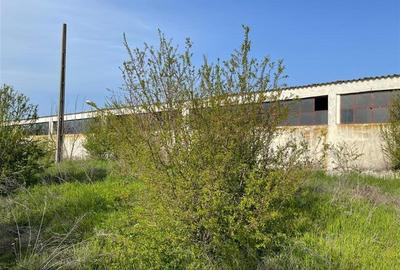 Spațiu industrial, de 6,800 mp, în Beștepe - 10