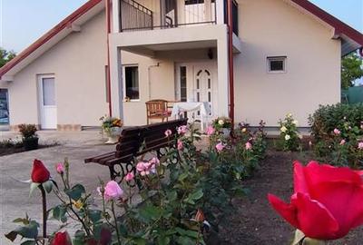 Casă cu 4 camere cu Teren 1263 Mp în Țigănași