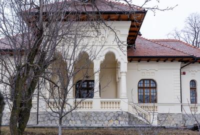 Casă individuală cu 10 camere cu Canalizare în Ultracentral - 20