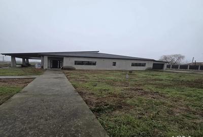 Casă cu 4 camere cu Teren 1700 Mp în Școlilor - 20