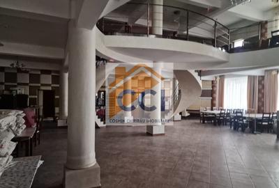 Casă individuală cu 8 camere cu Teren 4500 Mp în Măgura - 3