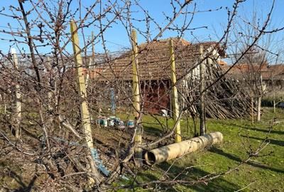 Casă cu 3 camere cu Teren 1792 Mp în Cioroboreni