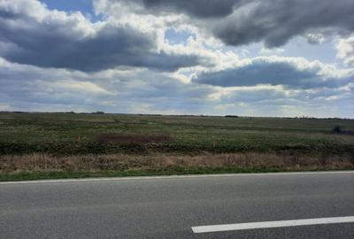Teren agricol extravilan de 13000 mp, în Sânmihaiu Român
