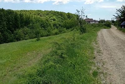 Teren de 1370 mp, în Băbana - 2