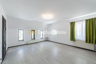 Spațiu comercial, de 220 mp, în Teilor
