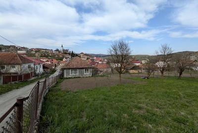 Teren în Central