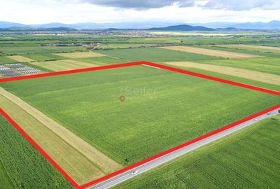Teren Construcții intravilan de 60000 mp, în Feldioara - 1