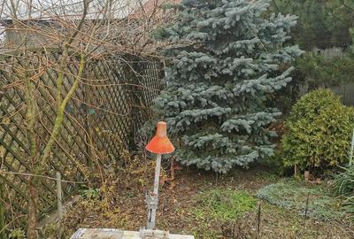 Casă cu Teren 1200 Mp în Gratia - 8