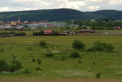 Teren de 1000 mp, în Central