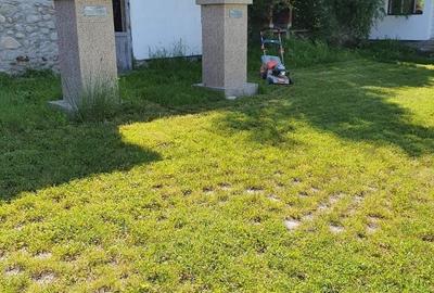 Casă cu Teren 2000 Mp în Baia de Fier - 2