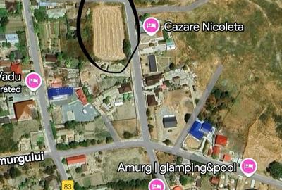 Teren de 2500 mp, în Vadu - 1