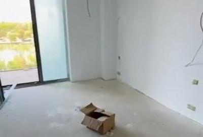 Apartament cu 2 camere în Băneasa - 3