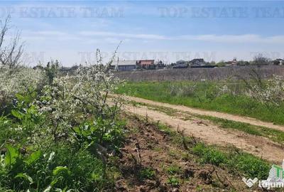Teren de 1171 mp, în Palanca - 3