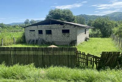 Casă cu 4 camere în Băjești
